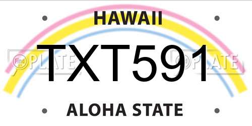 TXT591 Hawaii License Plate