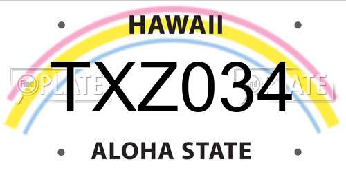 TXZ034 Hawaii License Plate