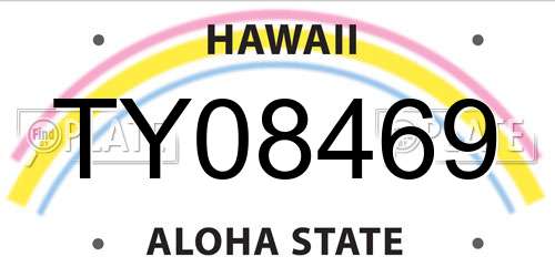 TY08469 Hawaii License Plate