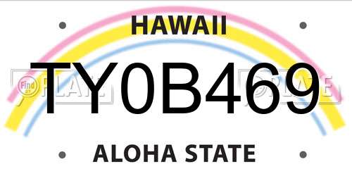 TY0B469 Hawaii License Plate