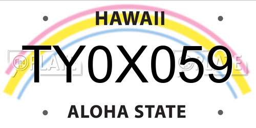 TY0X059 Hawaii License Plate