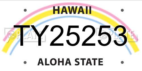 TY25253 Hawaii License Plate