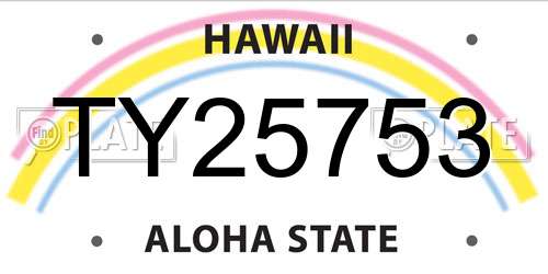 TY25753 Hawaii License Plate
