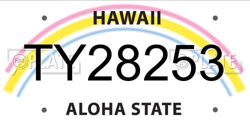TY28253 Hawaii License Plate