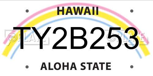 TY2B253 Hawaii License Plate