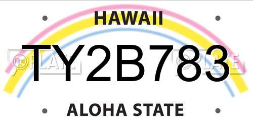 TY2B783 Hawaii License Plate