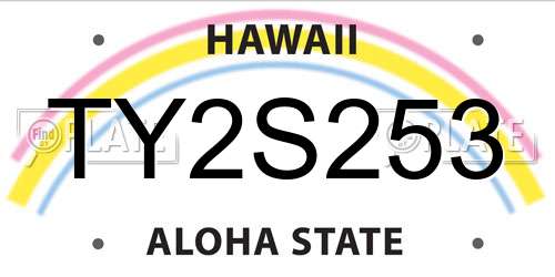 TY2S253 Hawaii License Plate