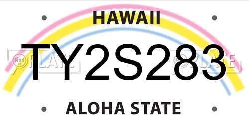 TY2S283 Hawaii License Plate