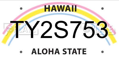 TY2S753 Hawaii License Plate