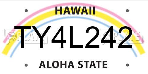 TY4L242 Hawaii License Plate