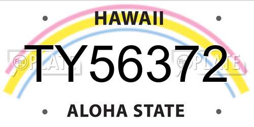 TY56372 Hawaii License Plate