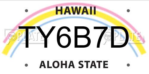 TY6B7D Hawaii License Plate