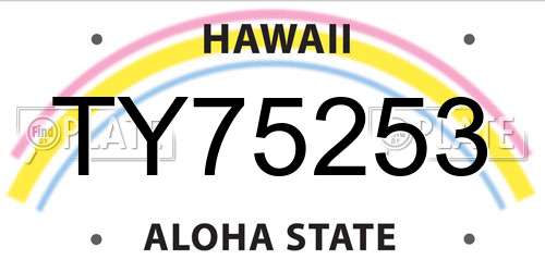 TY75253 Hawaii License Plate