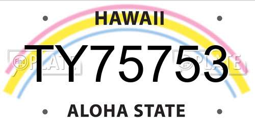 TY75753 Hawaii License Plate