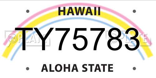 TY75783 Hawaii License Plate