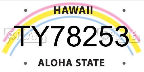 TY78253 Hawaii License Plate
