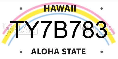 TY7B783 Hawaii License Plate