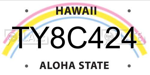 TY8C424 Hawaii License Plate