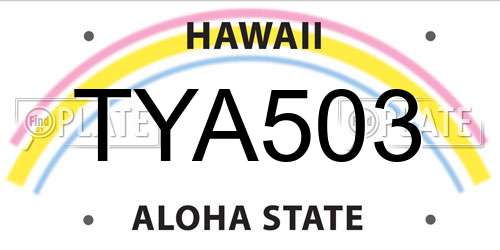 TYA503 Hawaii License Plate