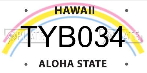 TYB034 Hawaii License Plate