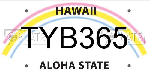 TYB365 Hawaii License Plate