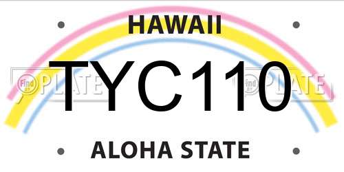 TYC110 Hawaii License Plate