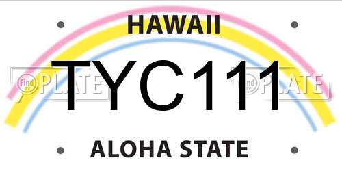 TYC111 Hawaii License Plate