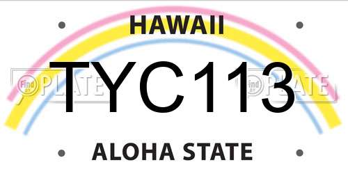 TYC113 Hawaii License Plate