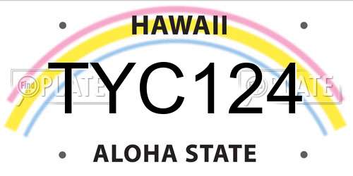 TYC124 Hawaii License Plate