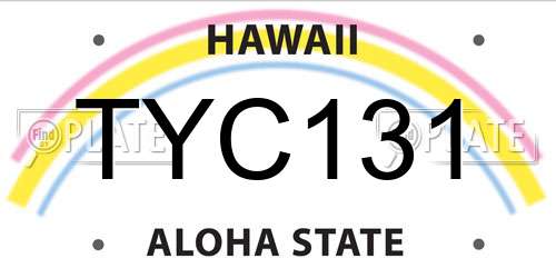 TYC131 Hawaii License Plate