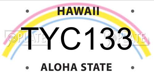 TYC133 Hawaii License Plate