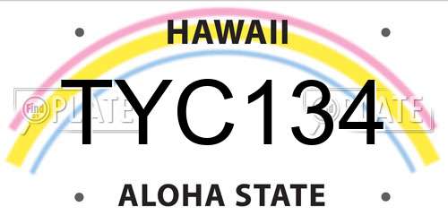 TYC134 Hawaii License Plate