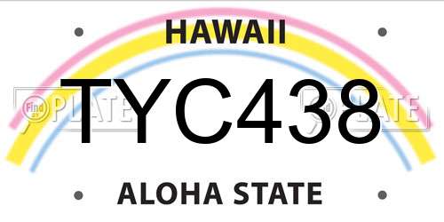 TYC438 Hawaii License Plate