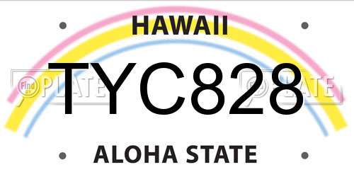 TYC828 Hawaii License Plate