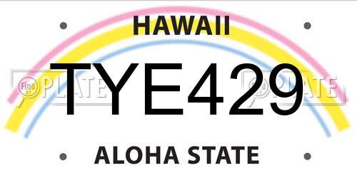 TYE429 Hawaii License Plate