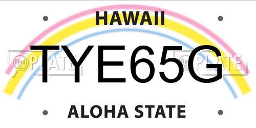 TYE65G Hawaii License Plate