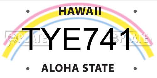 TYE741 Hawaii License Plate