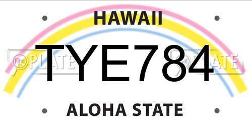 TYE784 Hawaii License Plate