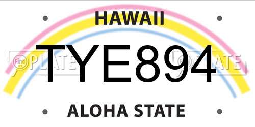 TYE894 Hawaii License Plate