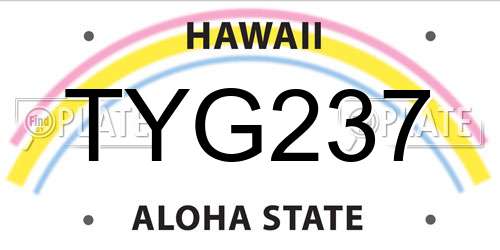 TYG237 Hawaii License Plate