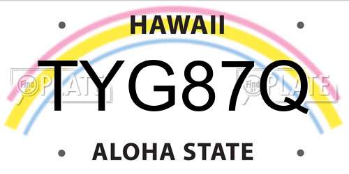 TYG87Q Hawaii License Plate