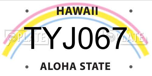 TYJ067 Hawaii License Plate