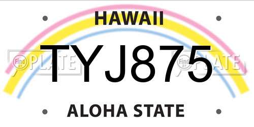 TYJ875 Hawaii License Plate