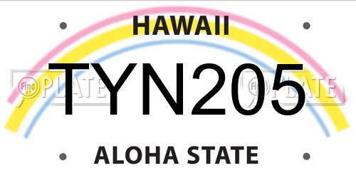 TYN205 Hawaii License Plate