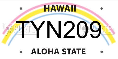TYN209 Hawaii License Plate