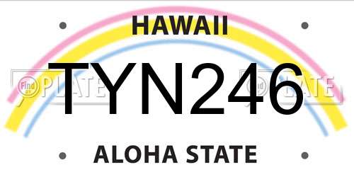 TYN246 Hawaii License Plate