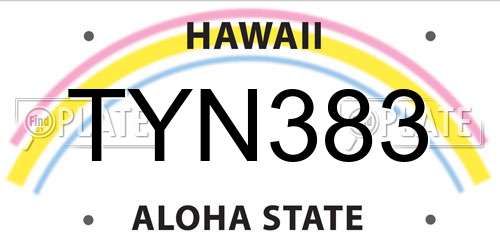 TYN383 Hawaii License Plate