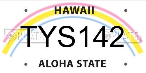 TYS142 Hawaii License Plate