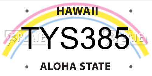 TYS385 Hawaii License Plate