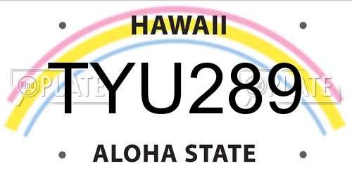 TYU289 Hawaii License Plate